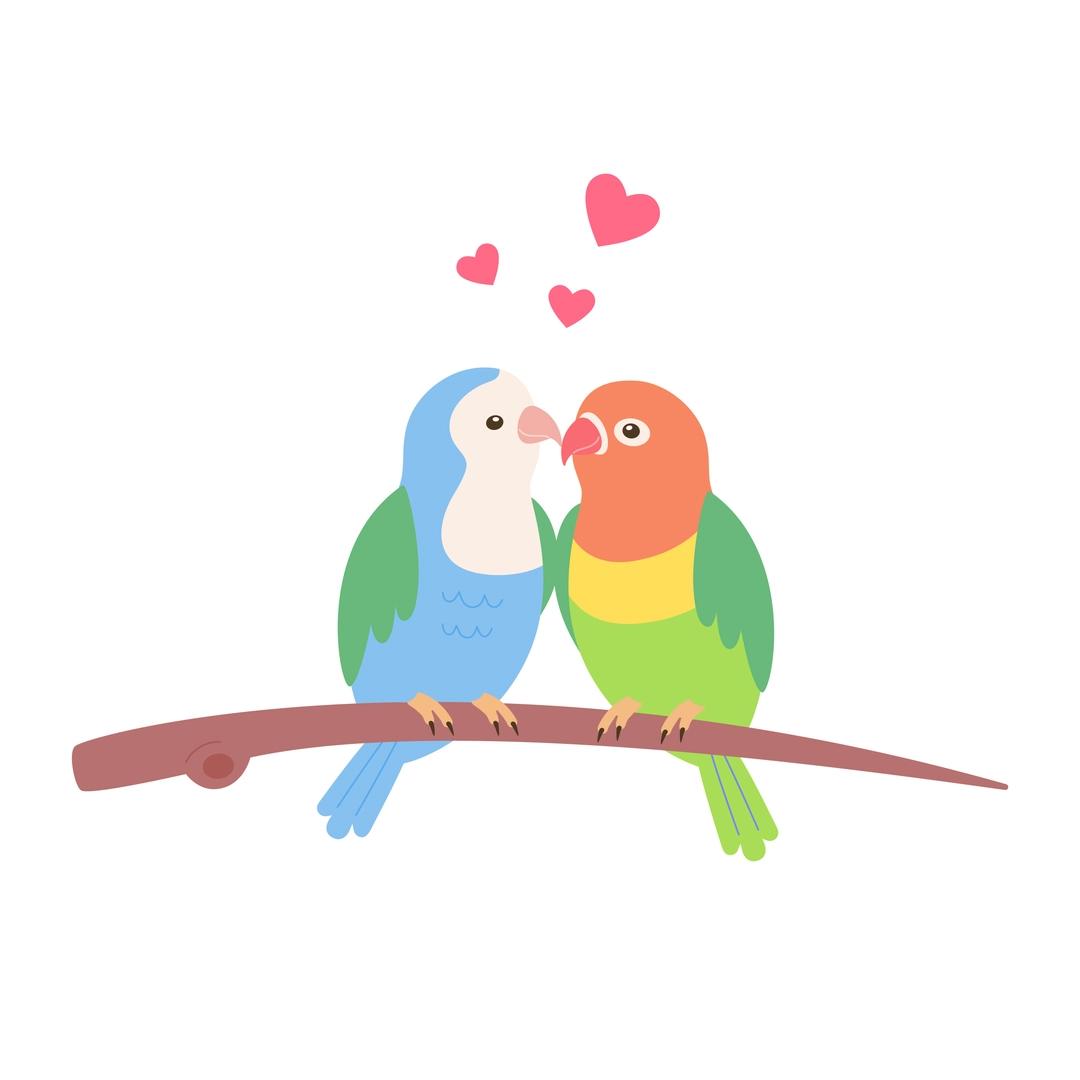love birds GettyImages-1568778430